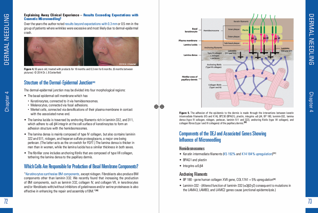 The Concise Guide to Dermal Needling - Third Medical Edition - Revised & Expanded - Image 10